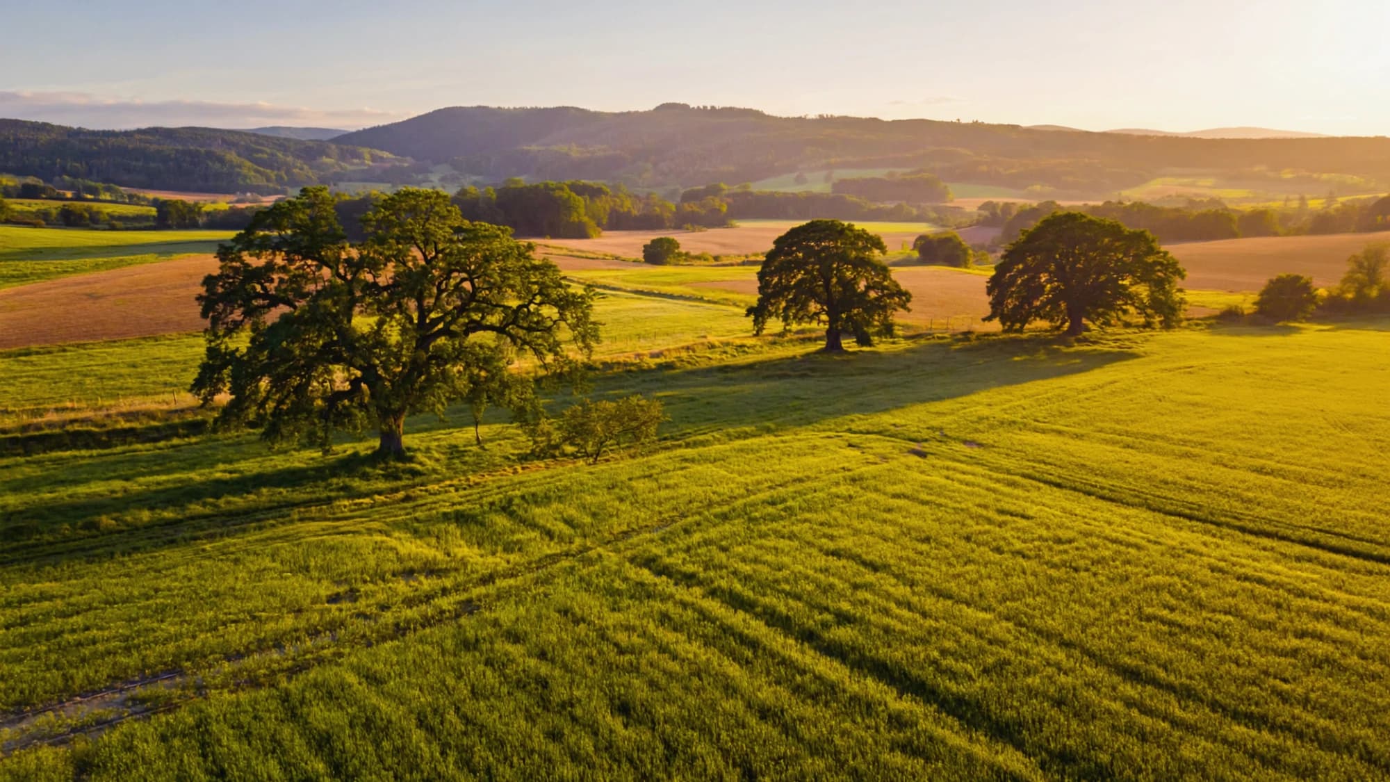 Felder, Wiesen und Wald im Kreis Lippe — Teutoburger Wald in der Abenddämmerung