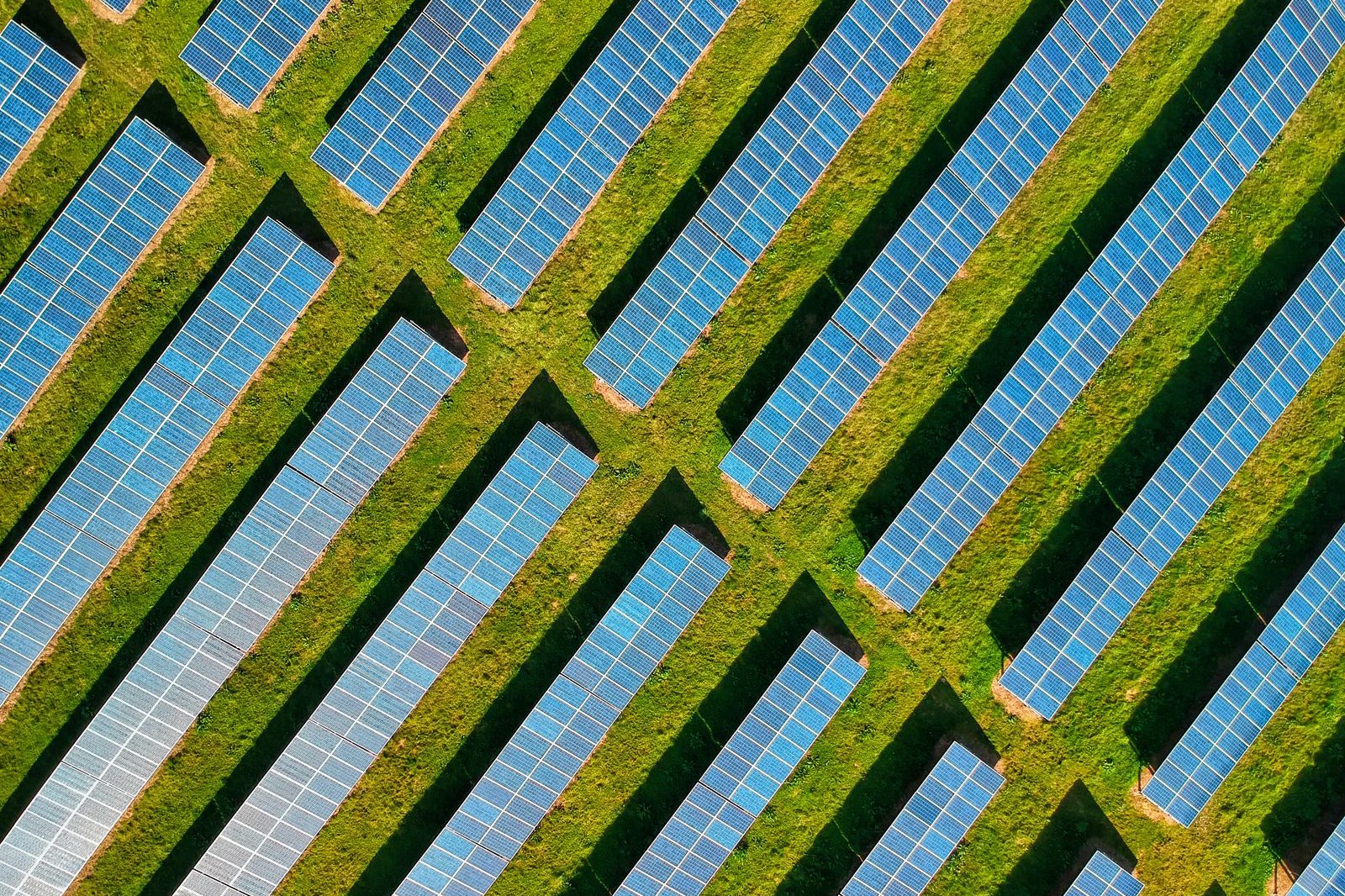 Luftaufnahme einer Agri-Photovoltaik-Anlage: Solarmodule in weiten Reihen über begrünter landwirtschaftlicher Fläche im Kreis Lippe